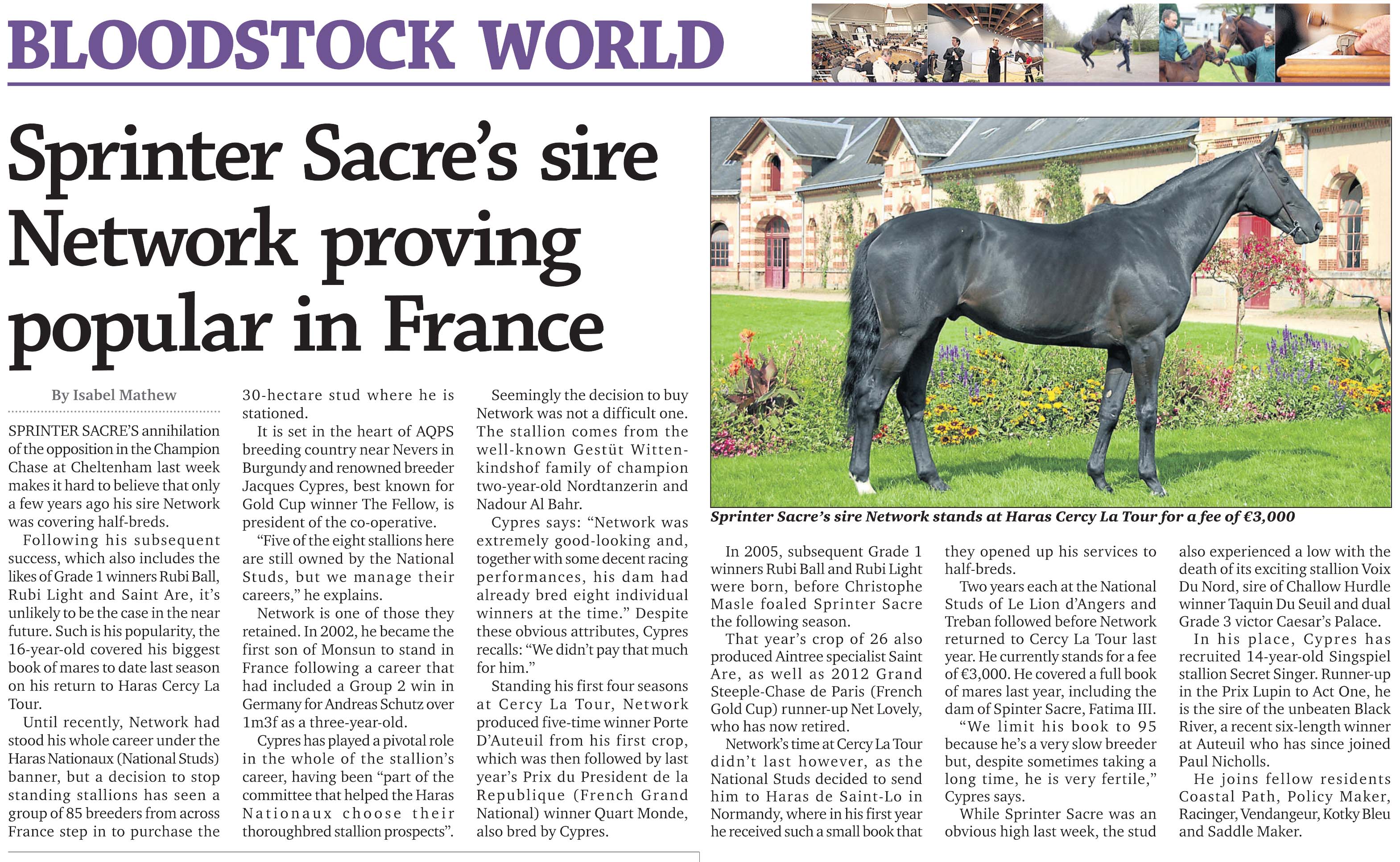 SprinterSacre-1