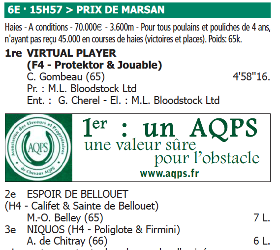 capt_20130324_auteuil_virtualplayer