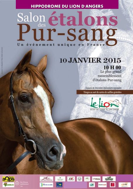 201501 AfficheSalonLeLion