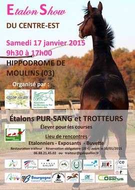 201501 AfficheSalonMoulins