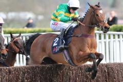 20190314_Cheltenham_Defi-du-Seuil_BriensPhoto_3073-Copier