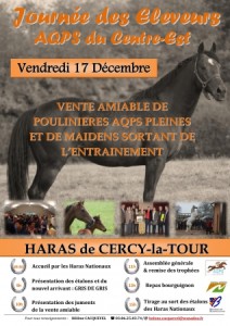 pub_cercy_poulinieres_20101217