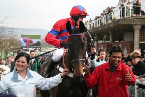 IMG_6605.JPG_Sprinter_Sacre_Cheltenham_2012