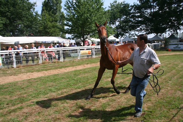 2015 Ambiance Chaser Day Paray-Le-Monial