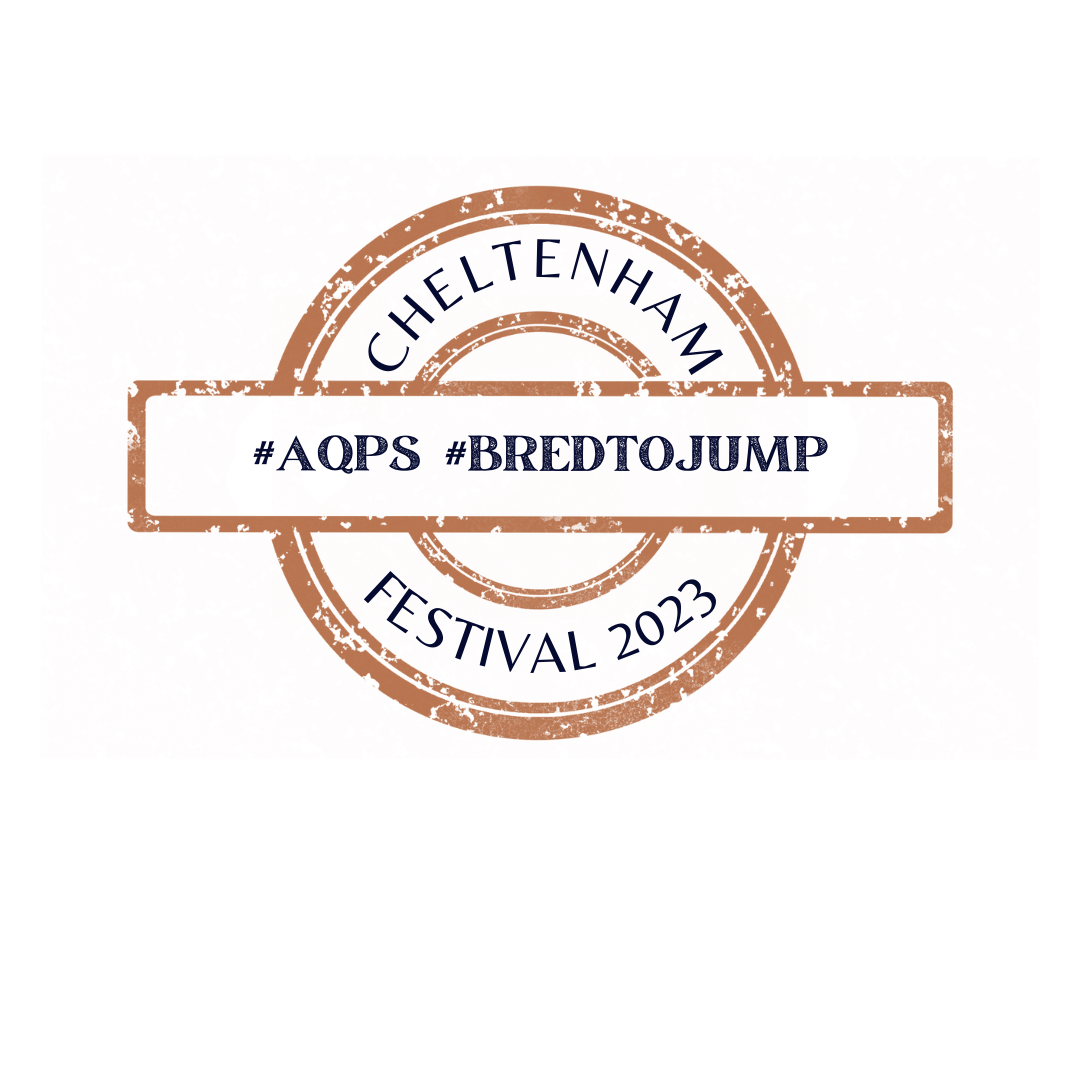 Festival de Cheltenham 2023 : la réussite des AQPS