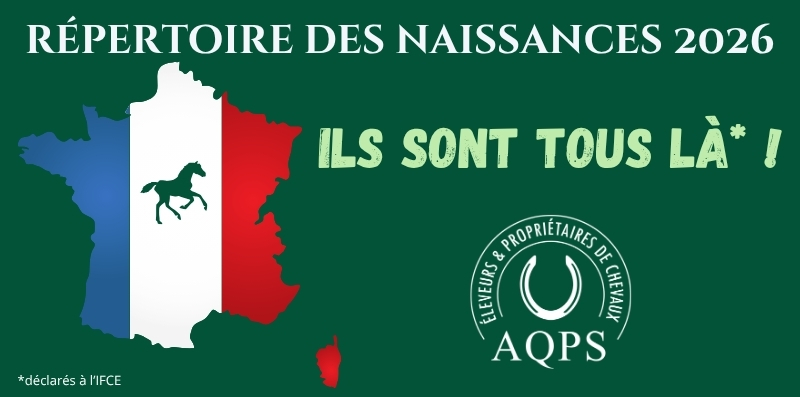 Catalogue Numérique AQPS